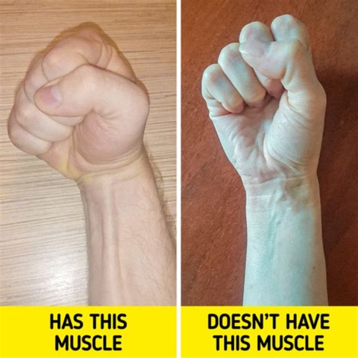 10+ Rare Body Features That You Might Have