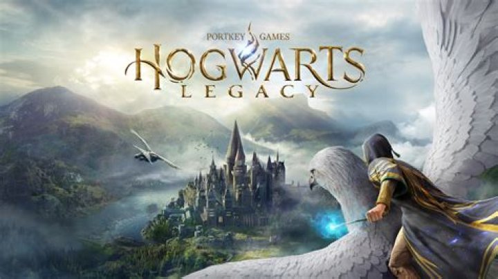 A Pioneer's Legacy In Video Game Development
