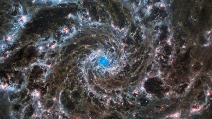 Discoveries With "r Octavoc R"