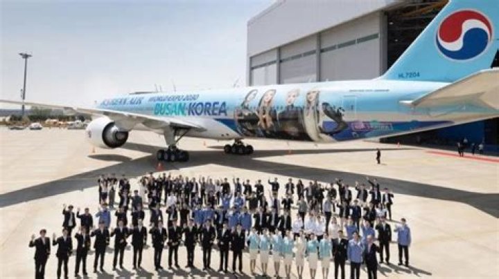 Do Boston Bruins have their own plane? Shedding light on 'Bear Force One'