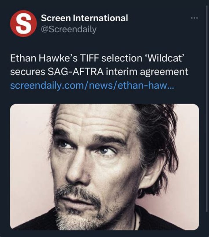 Ethan and Maya Hawke Film Wildcat Sells to Oscilloscope |