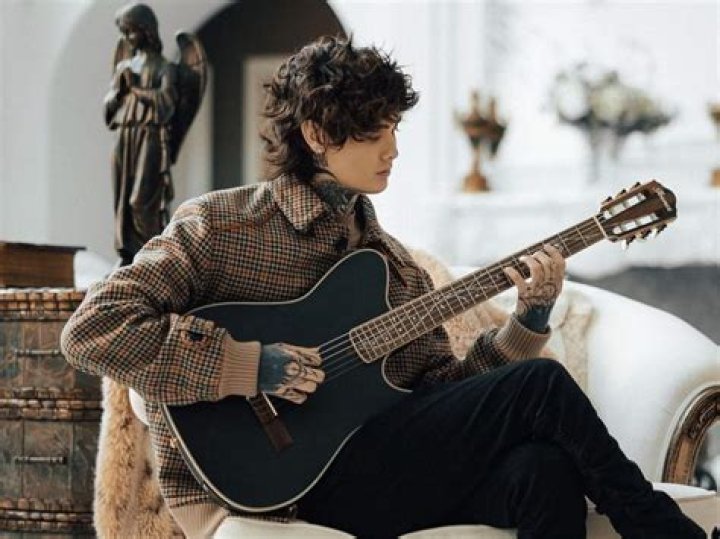 How Old Is Tim Henson? Unraveling The Age Of A Guitar Virtuoso