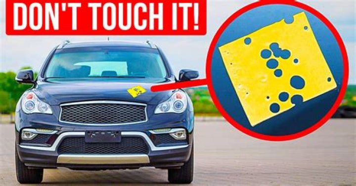 If You See a Slice of Cheese on Your Car, Lock It and Leave