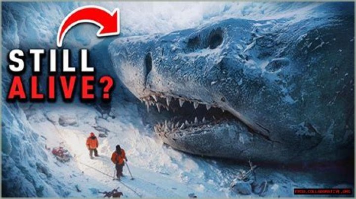 NASA's Frozen Megalodon Discovery Unveiled