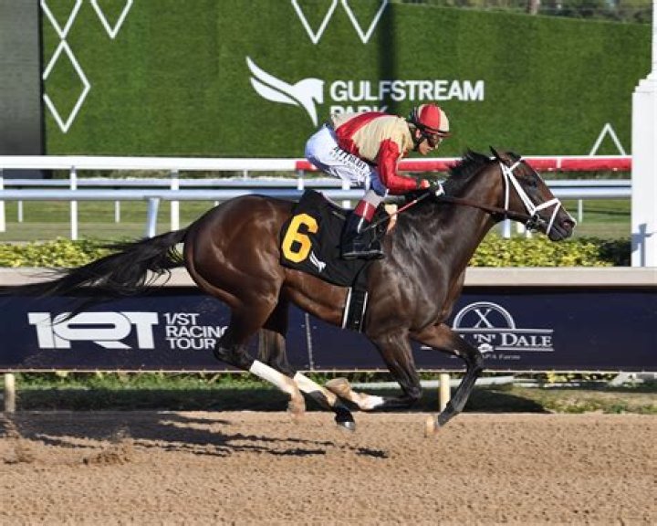 Todd Pletcher Net Worth Income