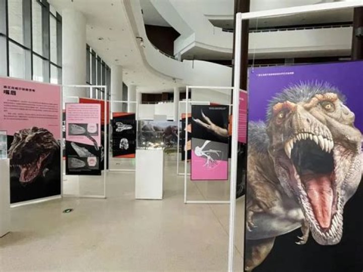 Unveiling The Cutting-Edge Discoveries Of Dr. Roger G. Kane