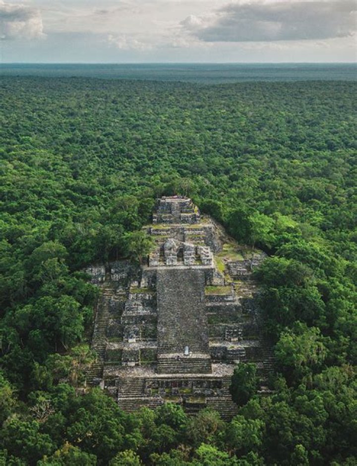 Unveiling The World Of Maya Holcomb: Discoveries And Insights